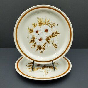Mountain Wood Collection Stoneware Dried Flowers Dinner Plates